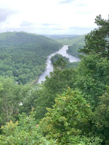 65085847_1284826955009724_5485346503180419072_n