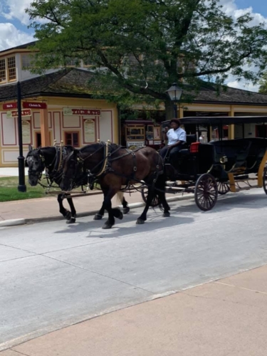 67967043_1320351544790598_5152477651453083648_n