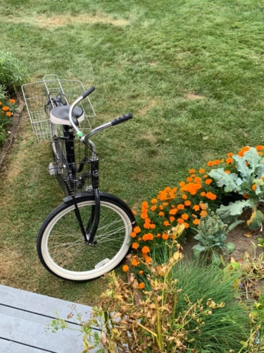 68407735_1320350211457398_5290404826742521856_n