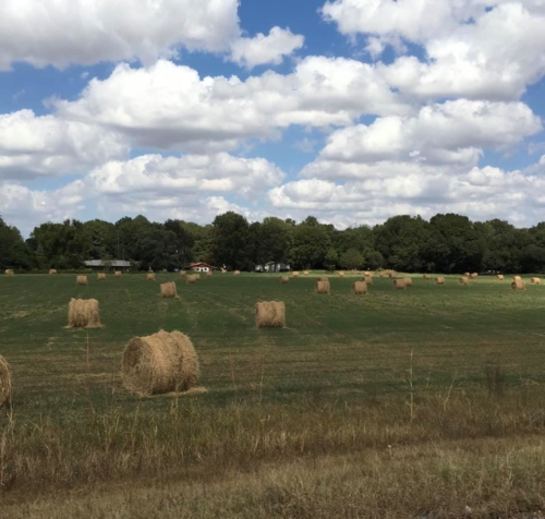 71104991_1360978854061200_4422101420338053120_n