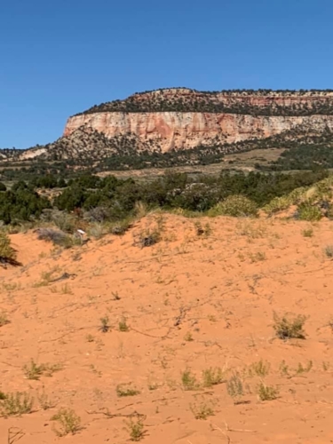 71475330_1367046076787811_7292983115763417088_n