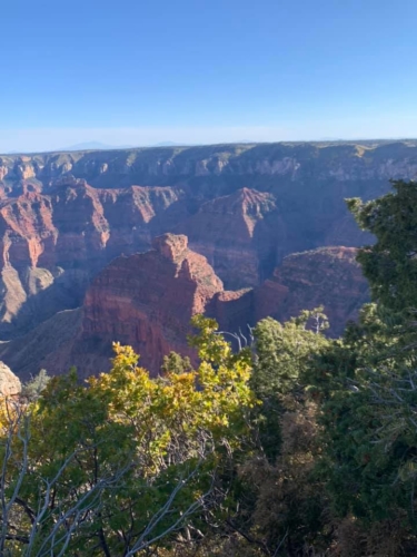 71545251_1368134976678921_5031060622507245568_n