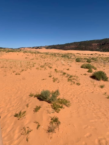 71590014_1367045893454496_6134996929886552064_n