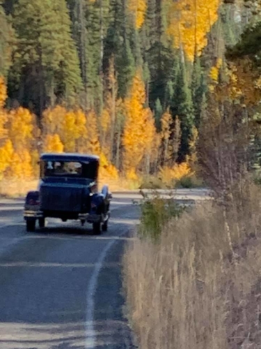 71669263_1368134996678919_1864774632695922688_n