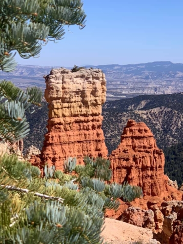 71673365_1368996553259430_5829672377738330112_n