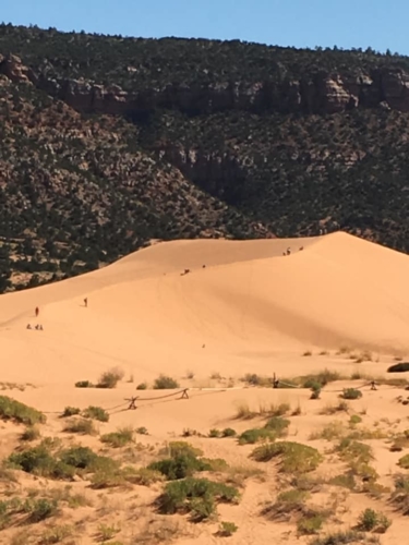 71745661_1367046753454410_8828773501377708032_n