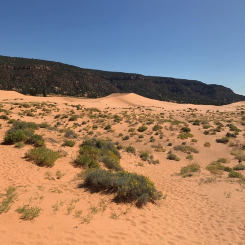 71751708_1367047010121051_5544074782179328000_o