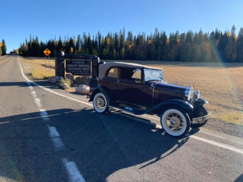 71763426_1368135196678899_1546902024354791424_n