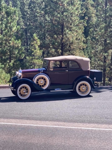 71770661_1368996649926087_4250076692959199232_n