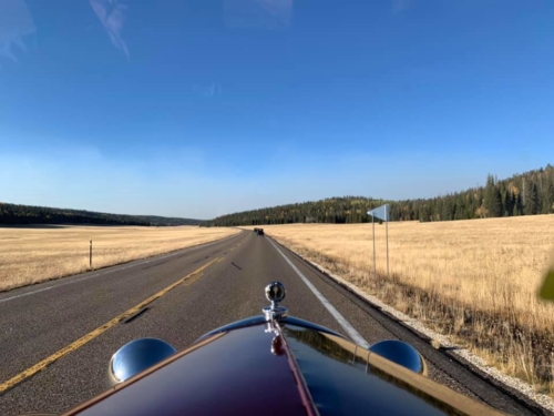 71791479_1368135283345557_422706257456005120_n