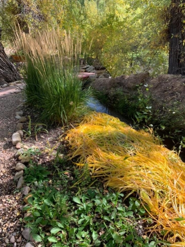 71796522_1369927076499711_2032683733433188352_n