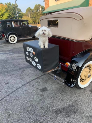 71831632_1360158354143250_7843513286485082112_n