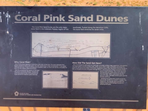 72046068_1367045886787830_8306874888321236992_n