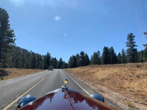 72098026_1368996376592781_4562656647461208064_n