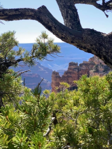 72129914_1368134340012318_1587971944748154880_n