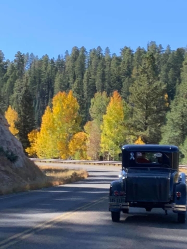 72161863_1368134026679016_5229936695146708992_n