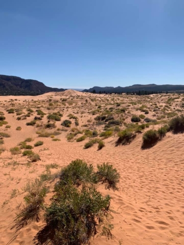 72275767_1367045906787828_2740681312330317824_n