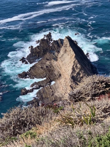 72277577_1374560179369734_4680339863768137728_n