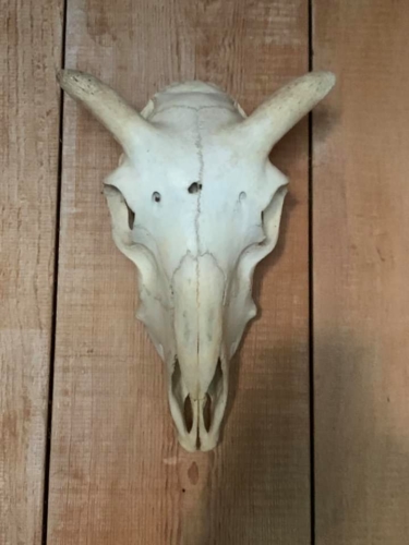 72310090_1369926803166405_2779870732832735232_n