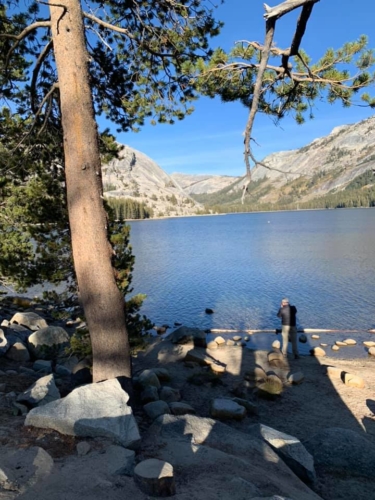 72316823_1376295722529513_7909947256504057856_n