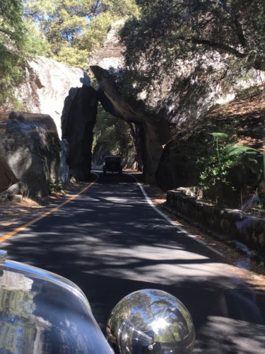 72343149_1376294995862919_8837714618265632768_n