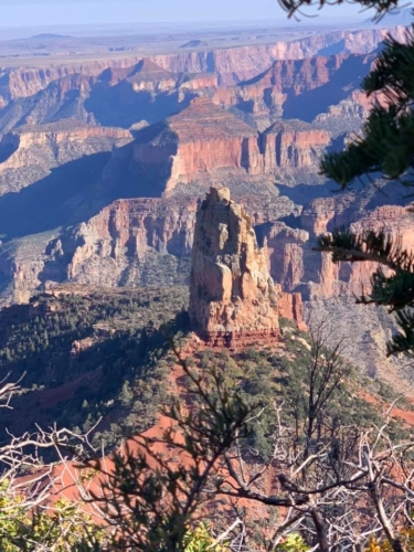 72349129_1368134720012280_6053325674326786048_n