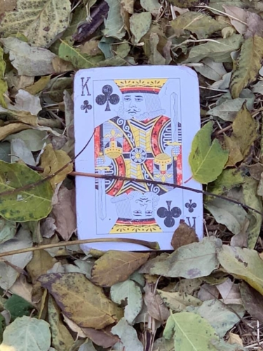 72417040_1370781673080918_324705282833776640_n