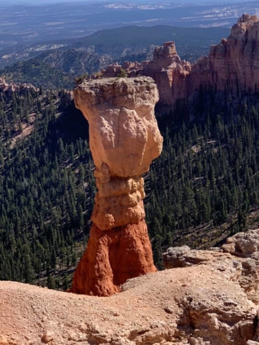 72424962_1368996523259433_2865836517601837056_n