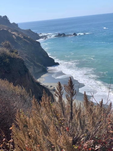 72429397_1374559792703106_1969620848885104640_n