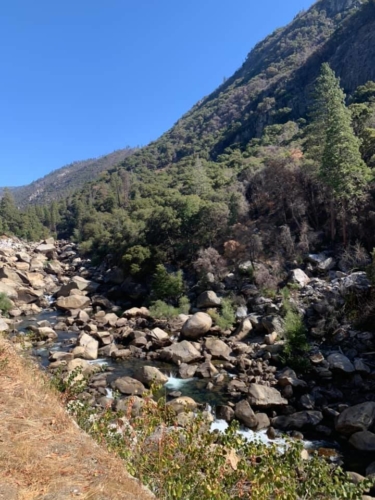 72445695_1376295042529581_2211593967697395712_n