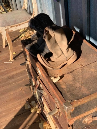 72468725_1370781706414248_2926549578297638912_n