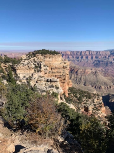 72481992_1368134673345618_5608570794234871808_n