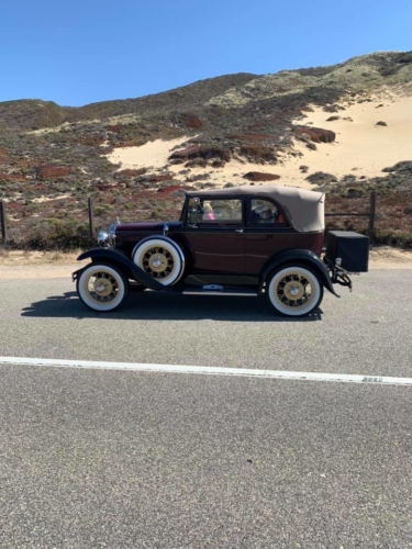 72558201_1374559942703091_9084515538016665600_n