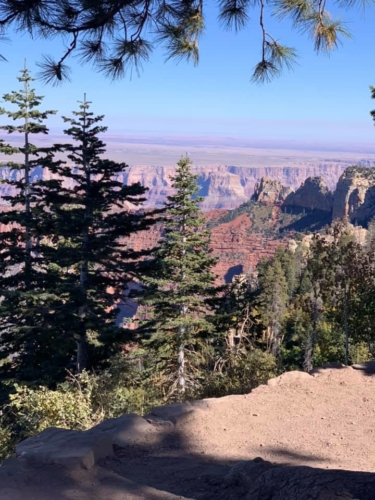 72565820_1368134296678989_2784438542221180928_n