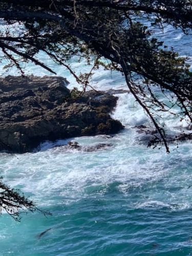 72569712_1374560339369718_3122854644859011072_n