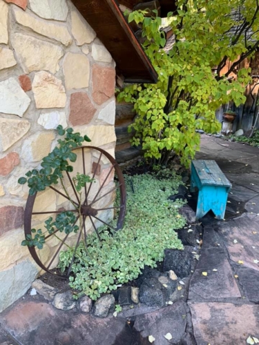 72582643_1369926969833055_8142451630286045184_n