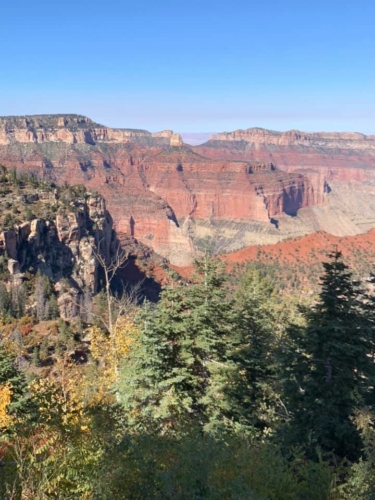 72584622_1368134320012320_7304336153140789248_n