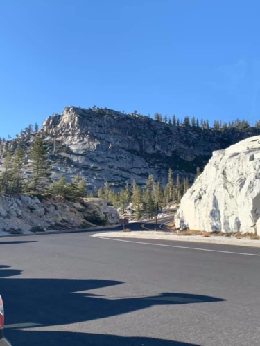 72632032_1376295545862864_4094233529745932288_n