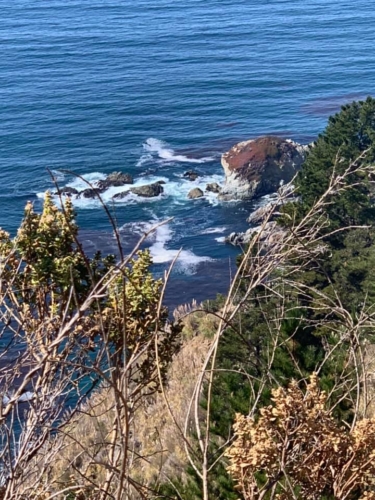 72678157_1374559829369769_5145411214775418880_n