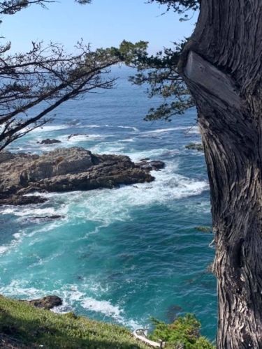 72704389_1374560296036389_7143952762819051520_n