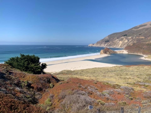 72725343_1374559836036435_750857701789007872_n