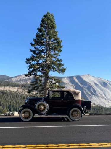 72801362_1376295289196223_4714451692328845312_n