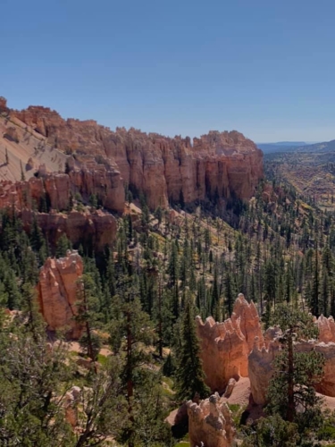 72847425_1368996453259440_5488887003636301824_n