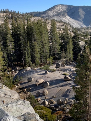 72900237_1376295525862866_6165709644019793920_n