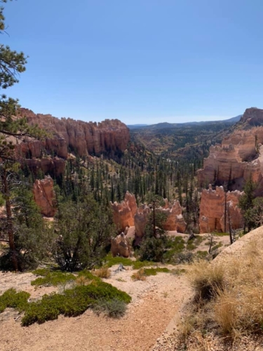 72900786_1368996446592774_7198973316810407936_n