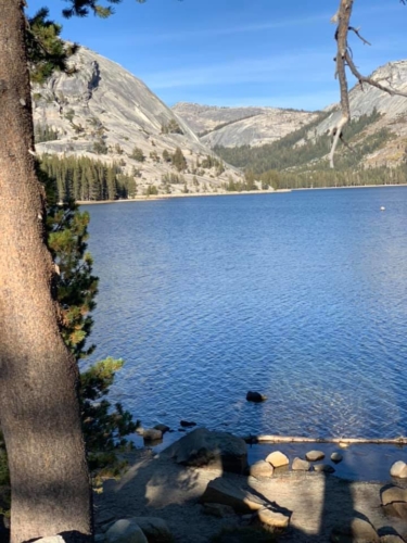 72969145_1376295715862847_110674796047499264_n