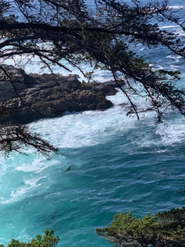 73032898_1374560299369722_4504680520315043840_n