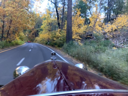 73342915_1376295115862907_5372142001460346880_n