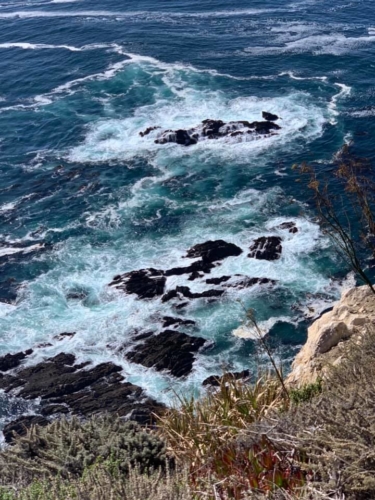 73372354_1374560119369740_4154712003622993920_n