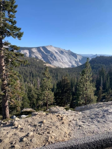 73416027_1376295229196229_154268950325100544_n